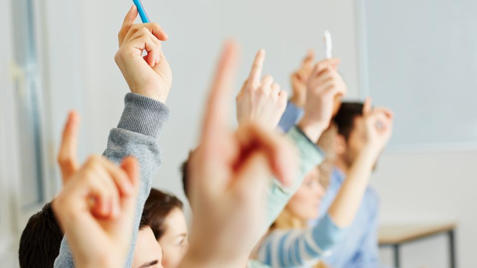 Eine Reihe von Schülerinnen und Schülern, die in einem Klassenraum sitzen und aufzeigen.