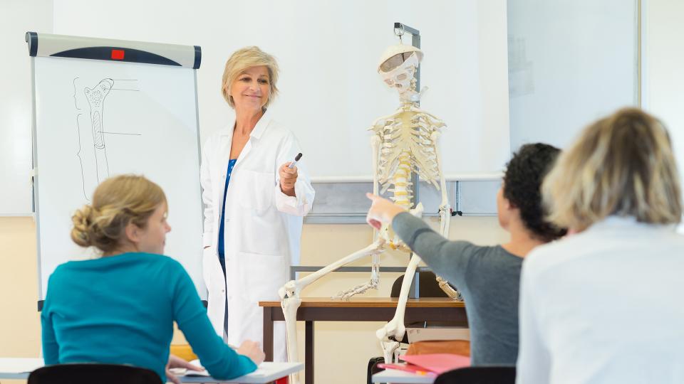 Ein Gespräch zwischen einer medizinisch ausgebildeten Lehrerin und einem Schüler. In dem Klassenraum sind zwei weitere Schüler*innen sowie ein menschliches Skelett-Modell, das sich neben der Lehrkraft befindet, sichtbar.