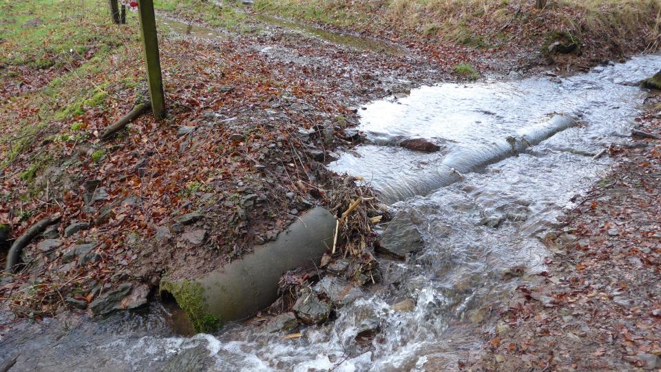 Zulauf Boßeler Bach