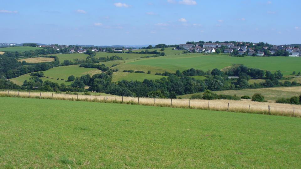Panorama grüner Wiesen und einer eingezäunten landwirtschaftlich genutzten Fläche. Am Horizont befinden sich mehrere Häuser eines Dorfes.  