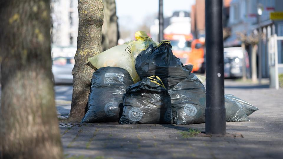 Mehrere Müllsäcke an einen Baum gelehnt.