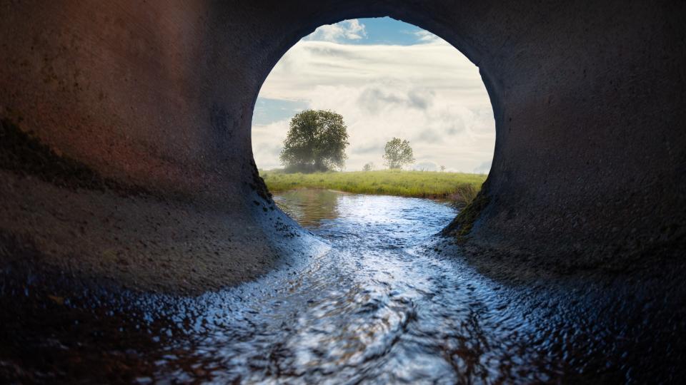 Blick aus einem Rohr in eine Landschaft mit Wiese und Bäumen.