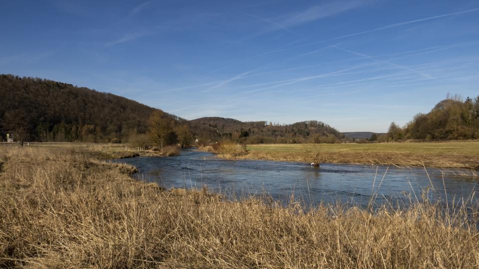 Bild der Ruhr inmitten von Wiesen bei Arnsberg