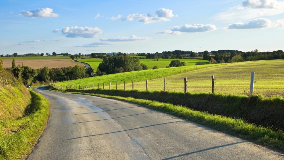Bild einer kurvenreichen Landstraße zwischen landwirtschaftlich genutzen Feldern.