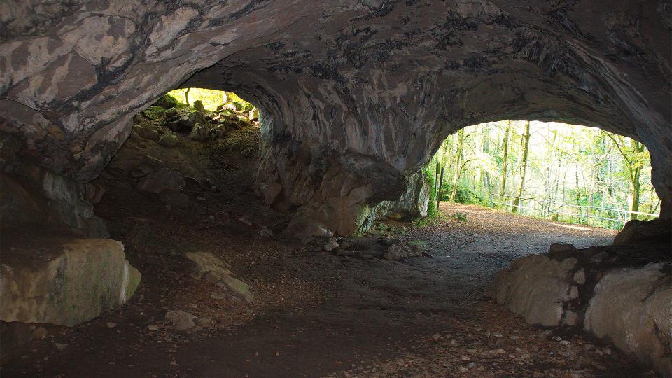 Blick aus einer Höhle heraus in einen grünen Wald.