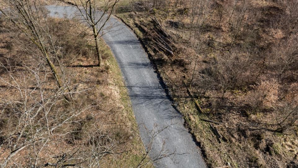 Bild eines Waldwegs von oben.