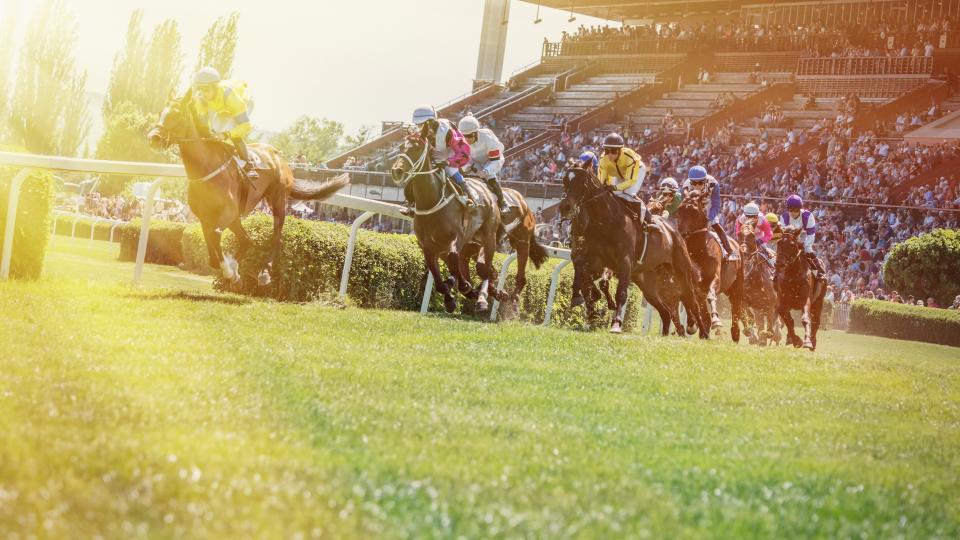 Rennpferde mit Jockeys auf der Zielgeraden.