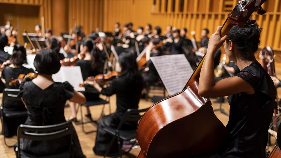 Abgebildet sind einheitlich gekleidete Musikerinnen und Musiker eines Orchesters. 