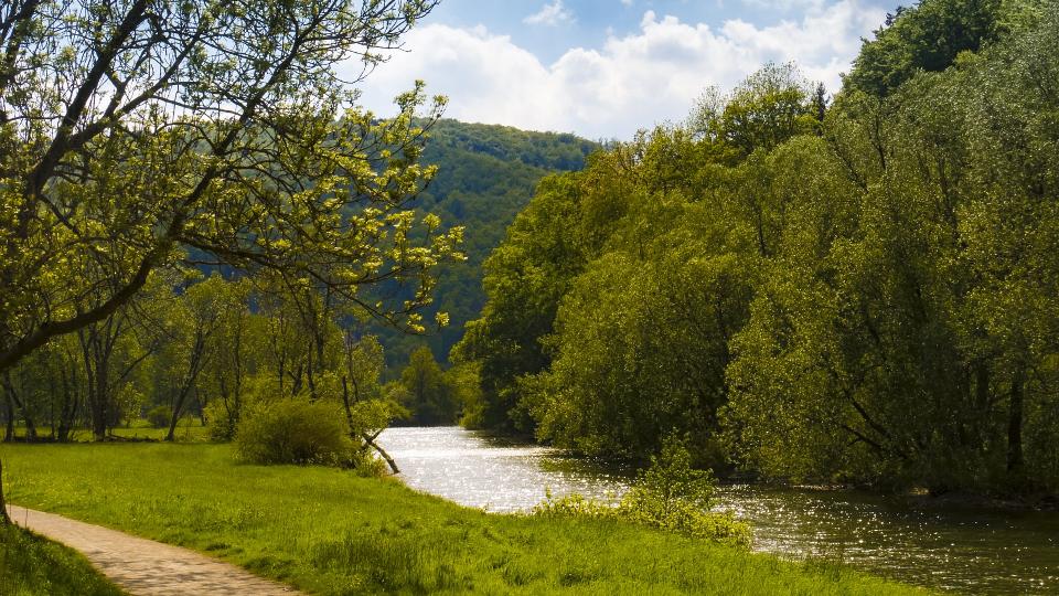 Abgebildet sind ein Fluss und ein Gehweg in einem Wald- und Wiesengebiet. 