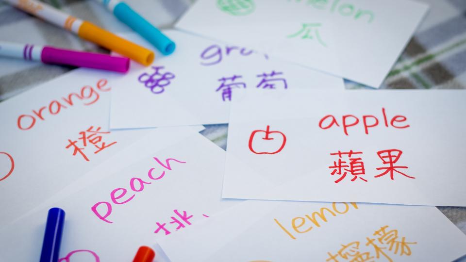 Abgebildet sind mehrere Karteikarten, auf denen mit unterschiedlichen Farben die Bezeichnungen verschiedener Obstsorten in Englisch und Chinesisch stehen.