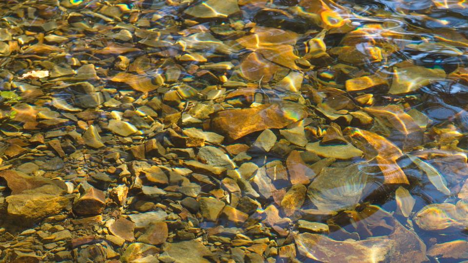 ein Fluss mit klarem Wasser in dem sich Steine und die Sonne spiegeln.