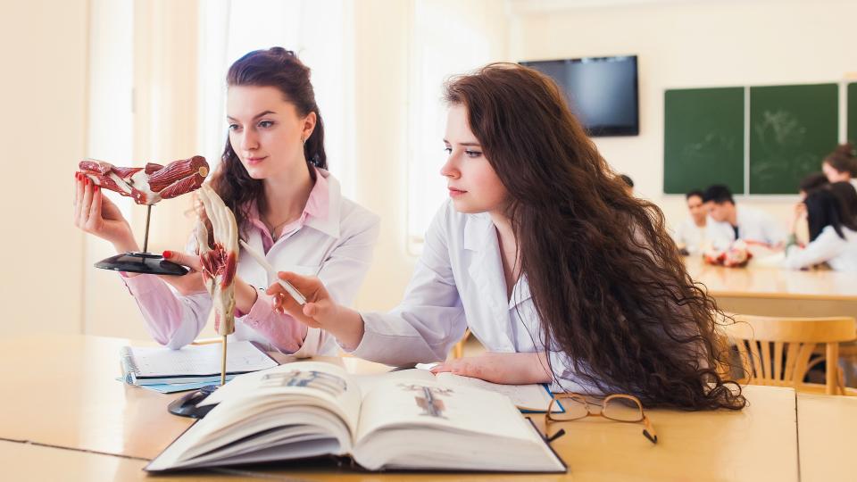 Zwei angehende Physiotherapeutinnen sitzen an einem Schreibtisch in einem Klassenraum. Sie studieren die Anatomie des menschlichen Körpers anhand anatomischer Figuren, wie zum Beispiel die eines Gelenks und einer Hand. Auf dem Tisch befindet sich darüber hinaus ein Lehrbuch. 