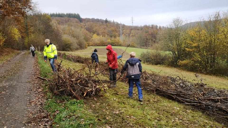 Abgebildet sind Schülerinnen und Schüler, die im Flurbereinigungsverfahren Plittershagen eine zweireihige Benjes-Hecke pflanzen.