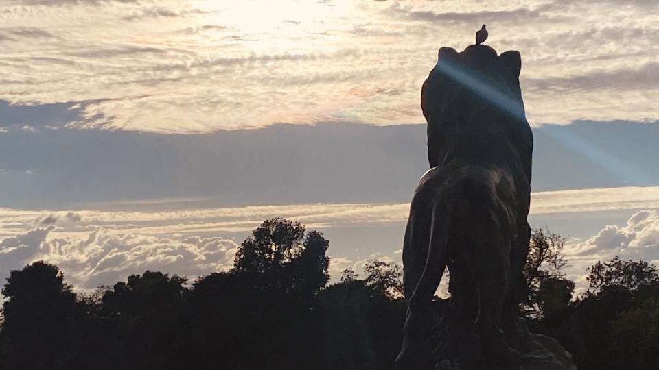 Das Bild zeigt eine Löwenstatue im Retiro-Park bei Sonnenuntergang. 