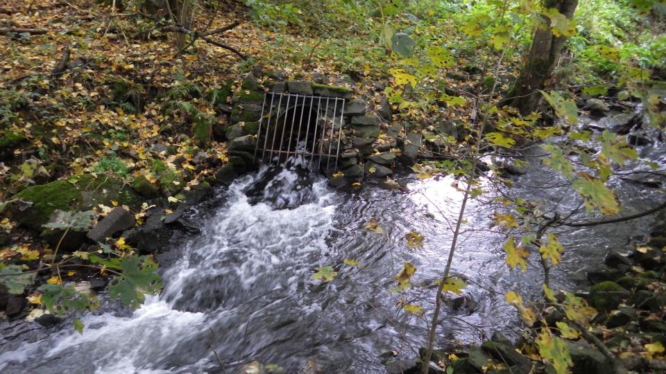 Abwassereinleitung in einen Bach.