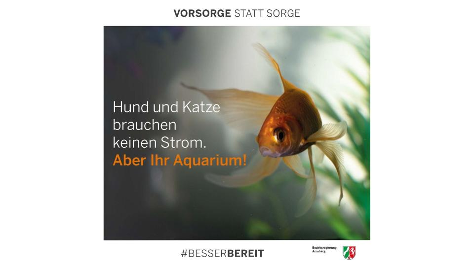 Abgebildet sind ein schwimmender Goldfisch und der Text "Hund und Katze brauchen keinen Strom. Aber Ihr Aquarium!"