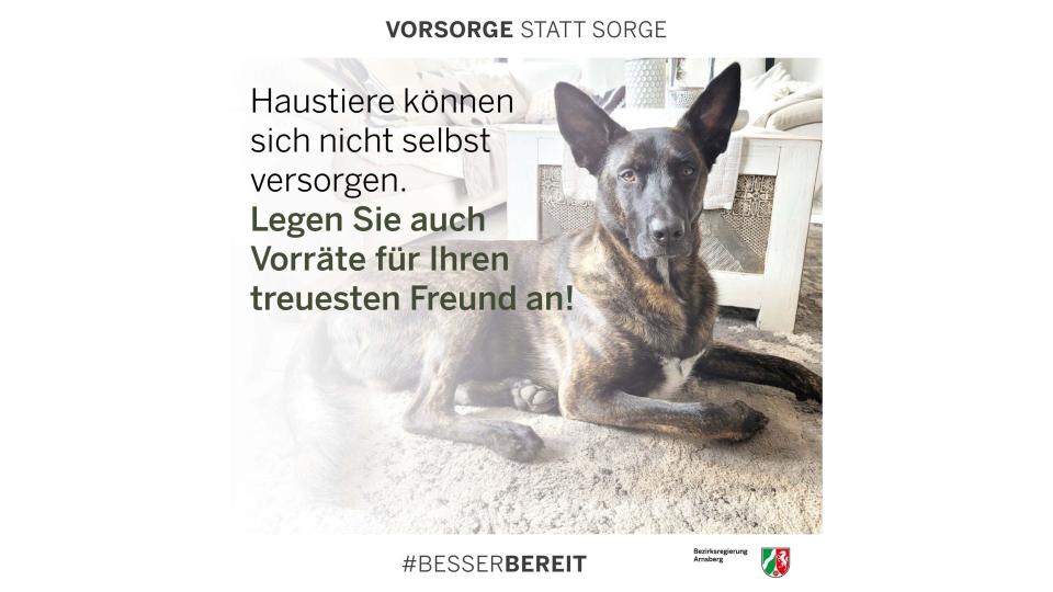 Abgebildet sind ein Hund und der Text "Haustiere können sich nicht selbst versorgen. Legen Sie auch Vorräte für Ihren treuesten Freund an!"