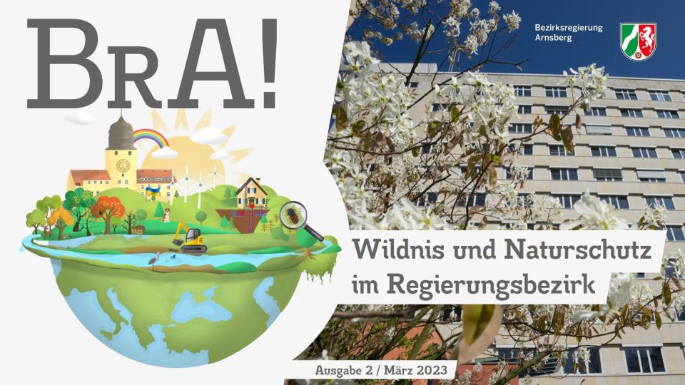Cover der 2. Ausgabe des BRA! Magazins: Wildnis und Naturschutz im Regierungsbezirk