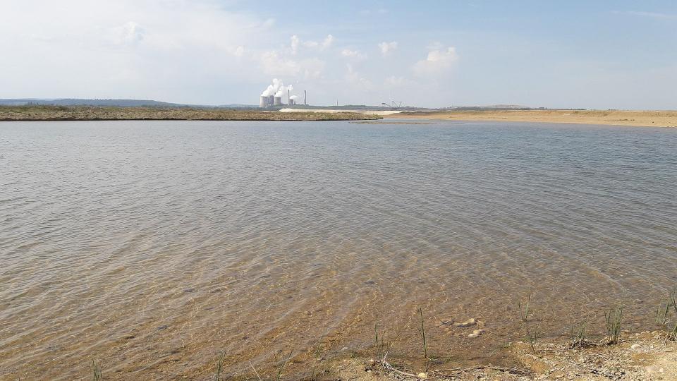 Fertiggestellte Flachwasserzone im Norden des Tagebaus Inden, mit Initialbepflanzung