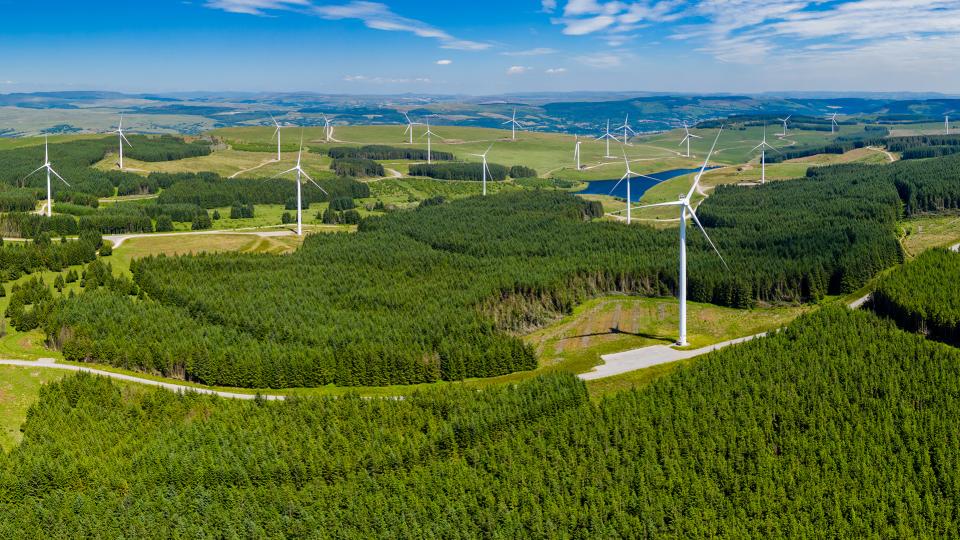 Eine bewaldete Hügellandschaft mit vielen Windrädern.