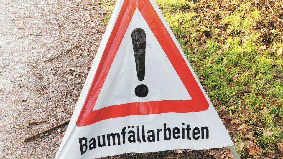 Bild eines Warndreiecks mit der Aufschrift Baumfällarbeiten.