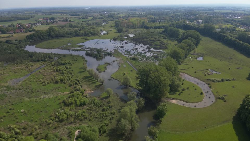 Luftbild einer Flusslandschaft mit Überflutungen