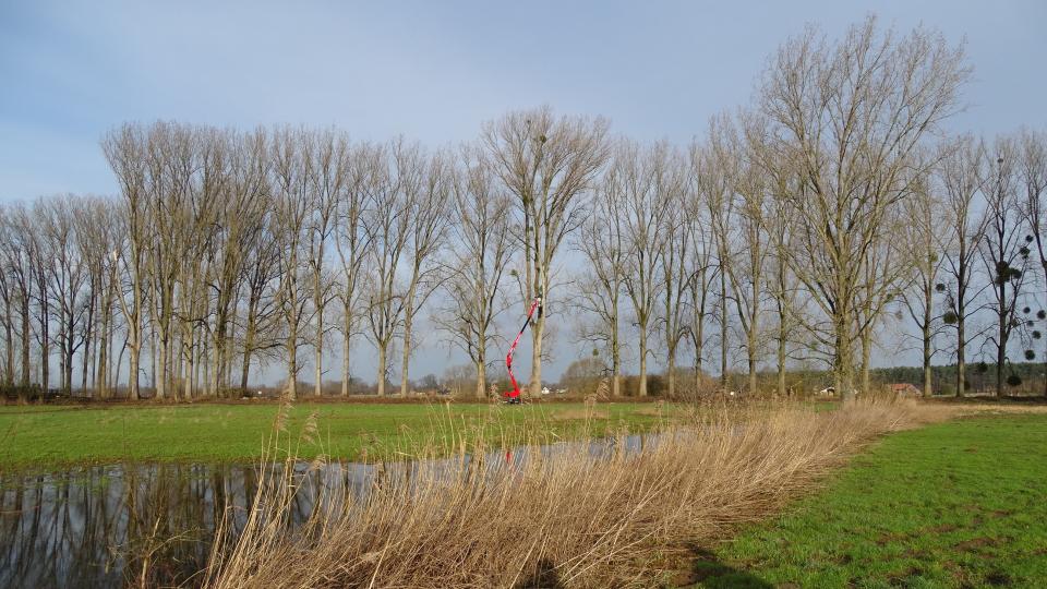 Hubsteiger vor einem Baumbestand