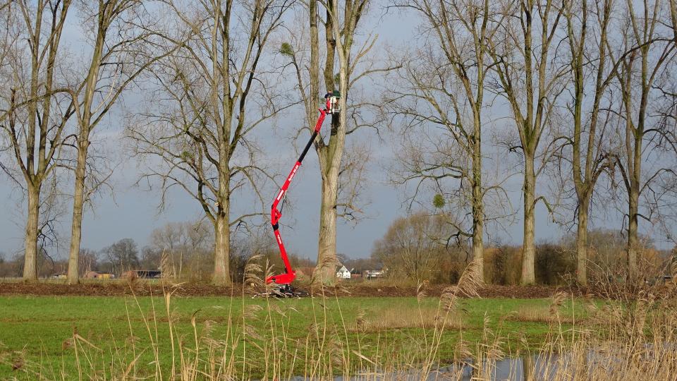 Hubsteiger vor einem Baumbestand