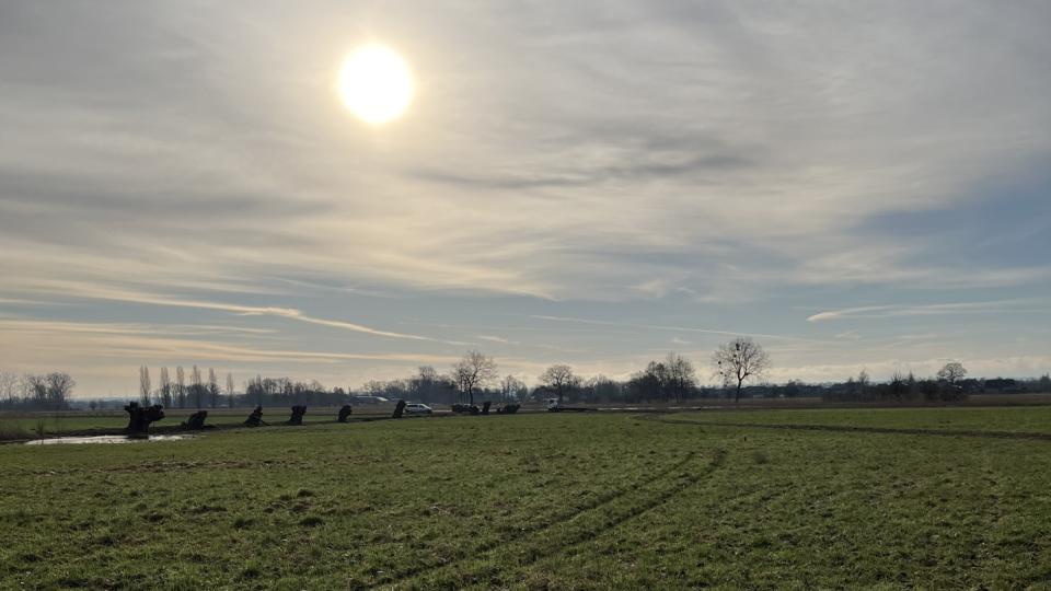 Blick auf ein Feld