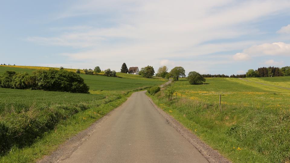 Abgebildet ist ein Feldweg im Sauerland.