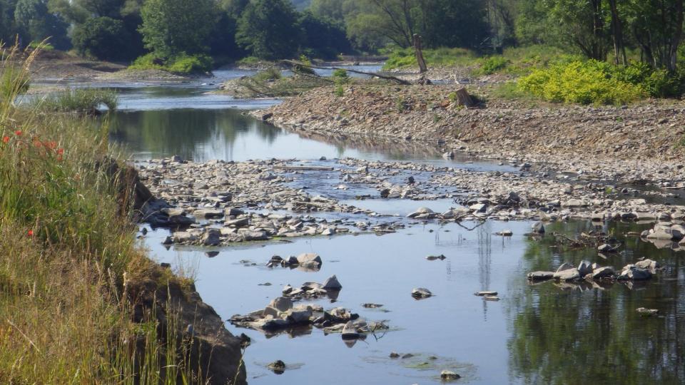 Niedrigwasser an der Lenne bei Hagen im Sommer 2022