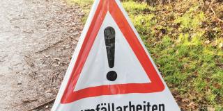 Bild eines Warndreiecks mit der Aufschrift Baumfällarbeiten.