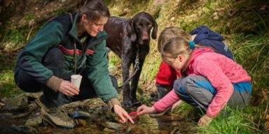 Abgebildet ist eine Frau, die zwei Kindern das Spurenlesen im Wald beibringt. Zwischen der Frau und den Kindern steht ein Hund. 