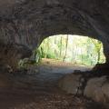 Blick aus einer Höhle heraus in einen grünen Wald.