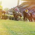 Rennpferde mit Jockeys auf der Zielgeraden.