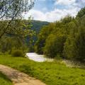 Abgebildet sind ein Fluss und ein Gehweg in einem Wald- und Wiesengebiet. 