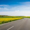 Eine Landstraße schlängelt sich durch einige Rapsfelder bei blauem Himmel