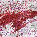 Abgebildet ist ein Kartenausschnitt mit sehr vielen roten Punkten im Bereich des Ruhrgebiets. 