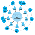 Schematische Darstellung des Netzwerks Gesamt-, Sekundar- und Primusschulen