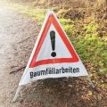 Bild eines Warndreiecks mit der Aufschrift Baumfällarbeiten.